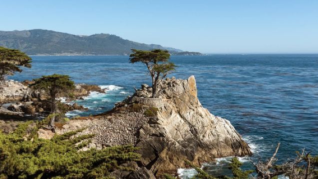 「蒙特雷聽濤 卡梅爾尋夢」舊金山來回包車遊|中文司導服務