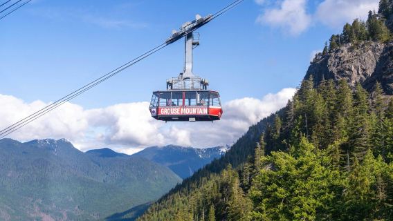 Grouse Mountain: Entry Ticket