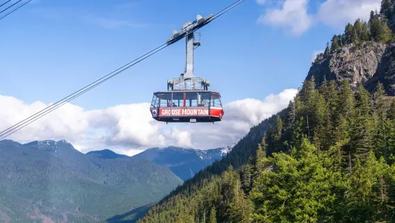 Grouse Mountain : Billet d'entrée