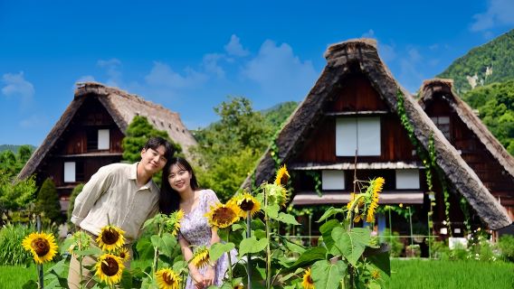 Tour de um dia para Nagoia e Shirakawa-go + Hida Takayama no Japão [Opção de traslado do hotel para grupos pequenos de 9 pessoas]