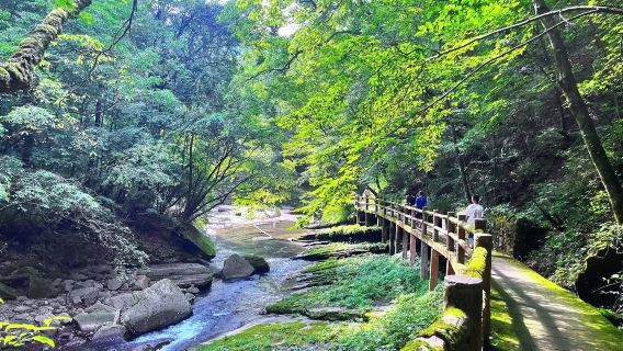 漢中黎坪國家森林公園 【門票+來回車】純玩1日遊