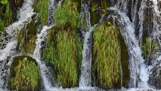 Croatia Zagreb-Taman Negara Tasik Plitvice-lawatan sehari-tidak termasuk tiket masuk