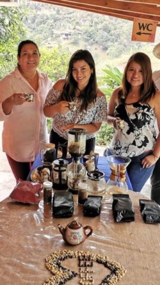 Medellin private coffee farm half-day tour with hotel transfer