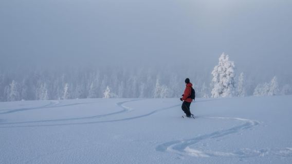 Ylläs: Passeio com raquetes de neve até o monte Kesänki