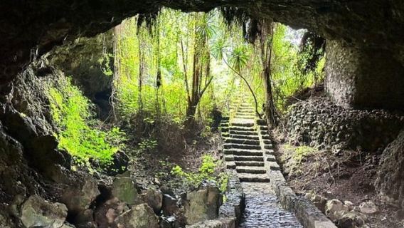 Discover Musanze: Caves, gorillas Culture & City Life Tour