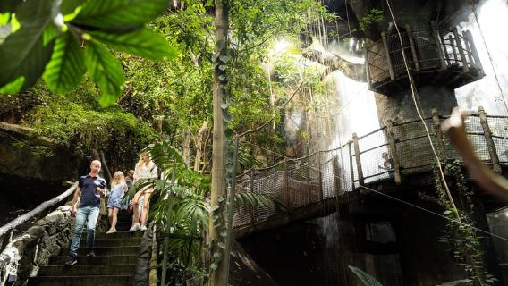 Gothenburg Essentials Pass: Visit 3 Top Attractions