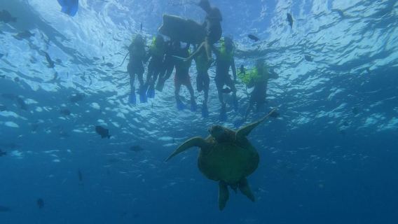 Oahu Snorkeling with Turtles & Water Scooter Experience