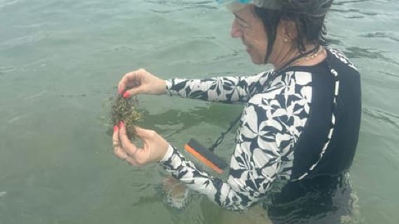 Snorkeling Trip from Polhena Beach, Matara, Sri Lanka