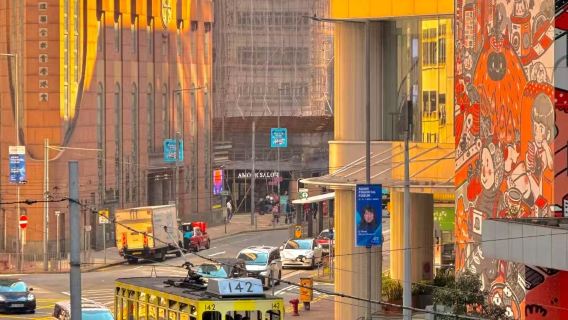 Dagsudflugt med privatbil i Hong Kong og omegn [valgfrie seværdigheder + dør-til-dør afhentning + privat tur]