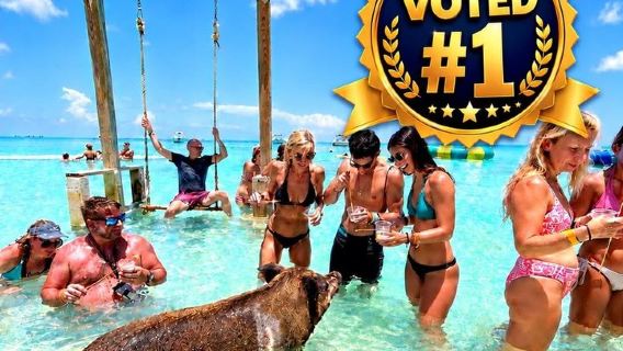 Rose Island: Nado com os porcos, almoço e praia privativa