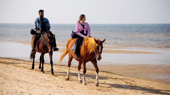 Riga: Private Baltic Sea Beach Horse Riding & Transfer