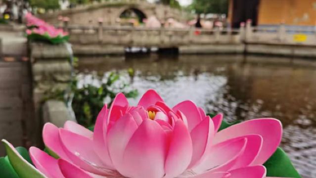 普陀山一日遊自由行【來回大巴車+來回船+普陀山門票任選】