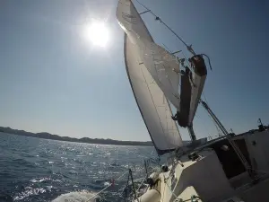 Private Full Day Sailing in Zadar Archipelago
