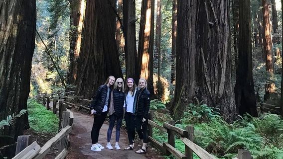 Mill ValleyTours