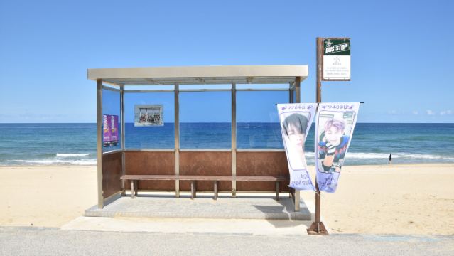 BTS Gangneung Tour: Jumunjin BTS Bus Stop + Daegwallyeong Samyang Roundhill + Neungpadae