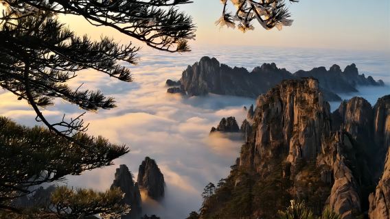 黃山一日遊【市區接送\轉乘集合、純玩16人團、可送北站】