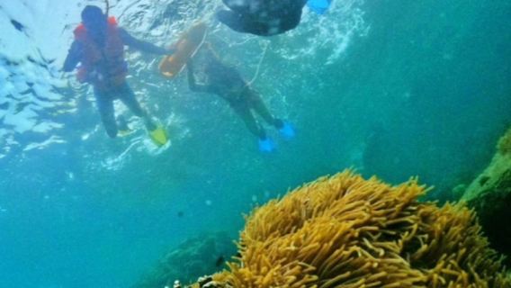 Phu Quoc IslandTours