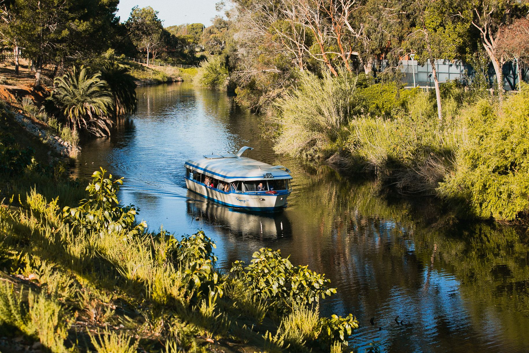 Adelaide River Torrens sightseeing cruise Popeye