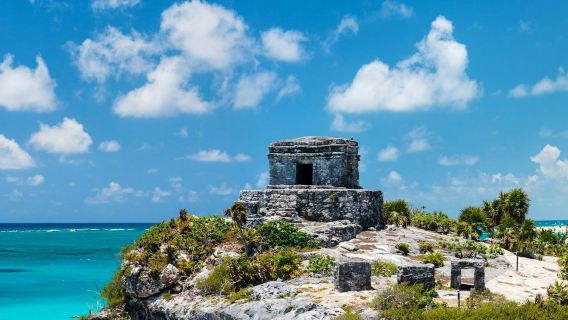 Tulum: Snorkeling con le tartarughe ad Akumal + Cenote Mariposa + Pranzo + Trasferimento