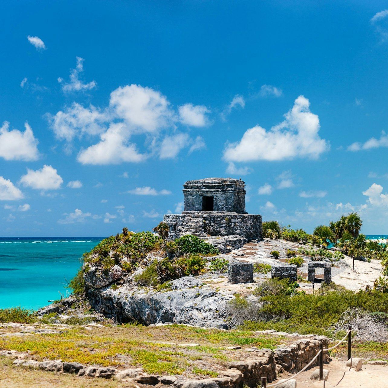 Tulum: Snorkeling with Turtles in Akumal + Mariposa Cenote + Lunch + Transfer