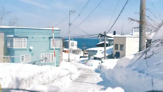日本札幌-小樽八音盒朝裏等/可登別富良野北海道多日包車-精選
