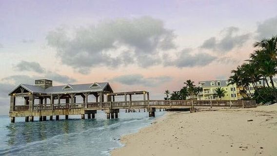 MiamiExperiences