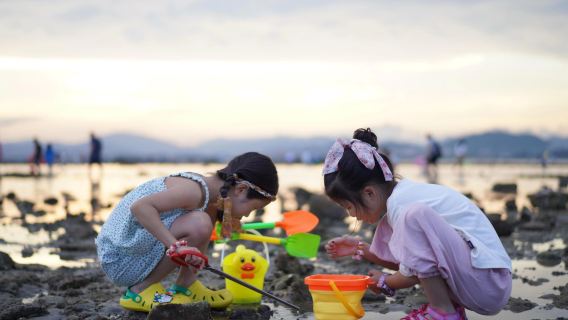北海遊艇| 北海紅樹林趣味趕海+趕海用具【親子互動】