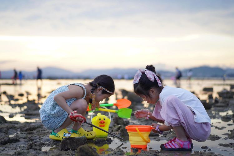 北海遊艇|北海紅樹林趣味趕海+趕海用具【親子互動】