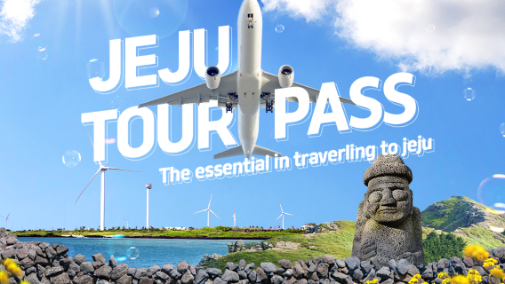 JejuTravel Services
