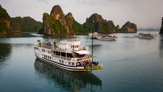 Tuần ChâuTour Trong Ngày