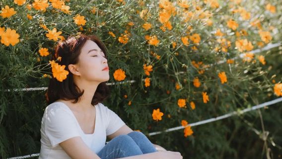 ベトナム・ハイフォンのTripメモリー【運転手兼ガイド兼Tripメモリー+ウェディングドローン撮影ミニムービー+メイクアップ衣装+旅程カスタマイズ+人数無制限】