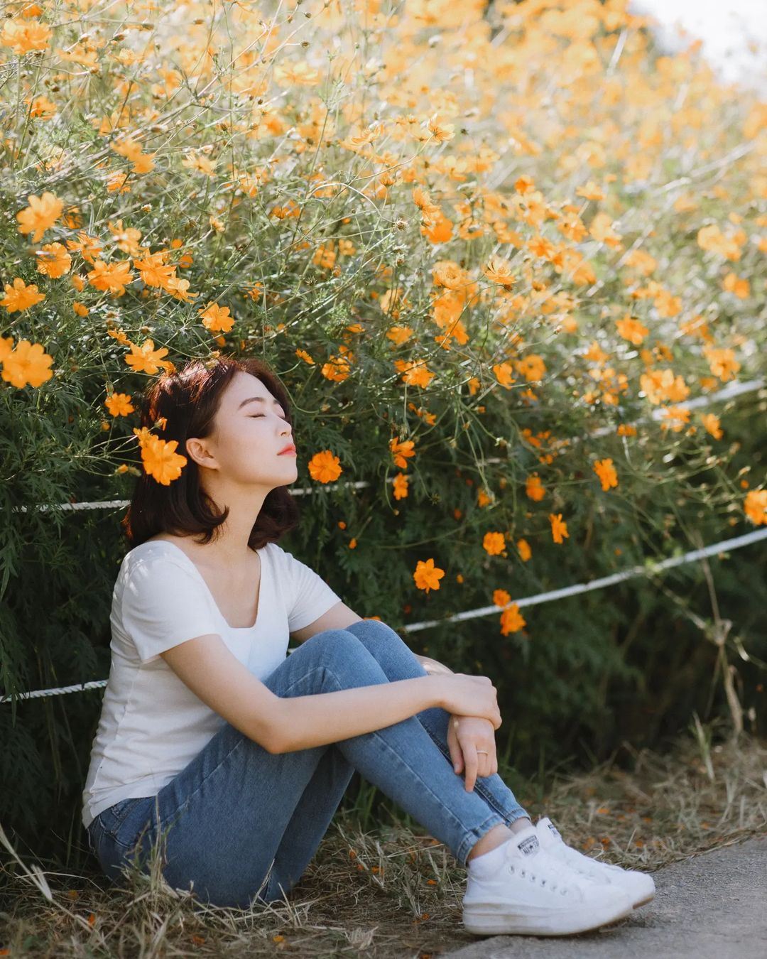 Trip Moments in Haiphong, Vietnam[Driver-guide plus travel photography + wedding aerial photography microfilm + makeup & costumes + itinerary customization + unlimited group size]