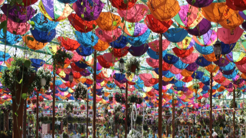 Miracle Garden Admission Tickets Day Tours 1