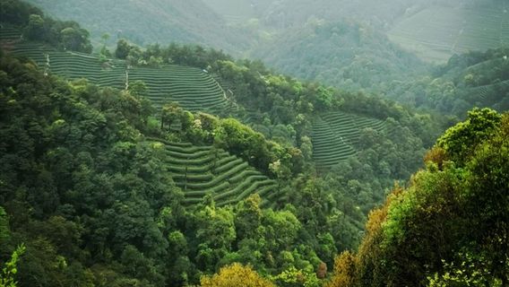 HangzhouTours