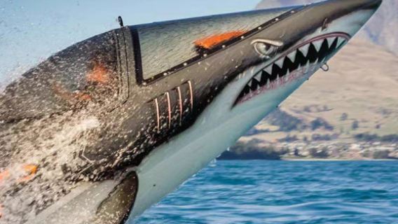 Queenstown Shark Boat Experience