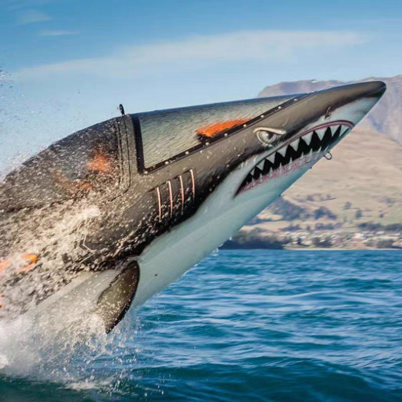 Shark Boat Experience in Queenstown