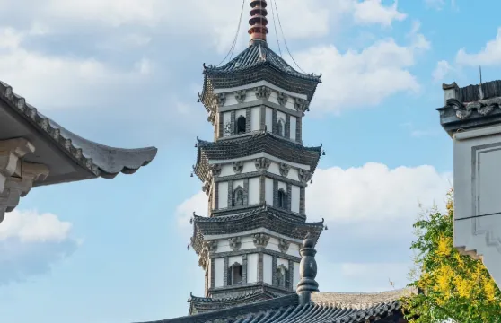 衢州定制一日遊｜專業導遊服務｜中英文導遊講解｜可選小語種