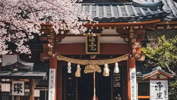 日本鎌倉大佛＋鎌倉高校前站＋江之島＋鶴岡八幡宮包車一日遊l