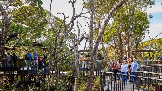 Taronga Zoo Sydney: Entry Ticket + Return Ferry