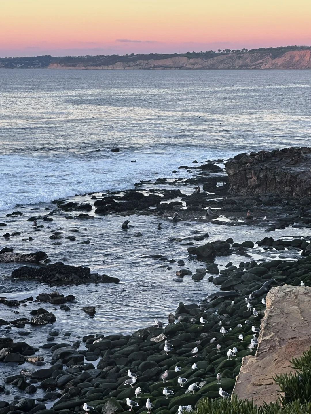 美國聖地牙哥！聖地牙哥老城等經典景點一日遊包車【精選老司機】