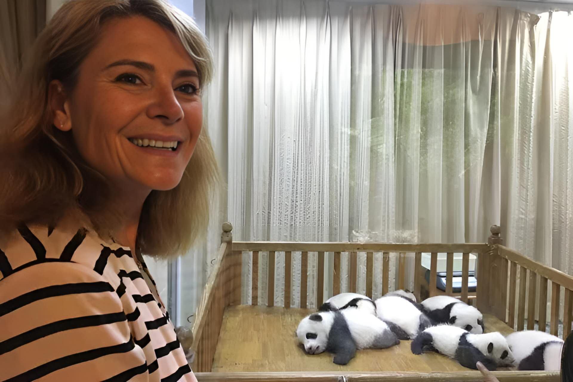 Private Half-day All-inclusive Chengdu Panda Breeding Center Tour