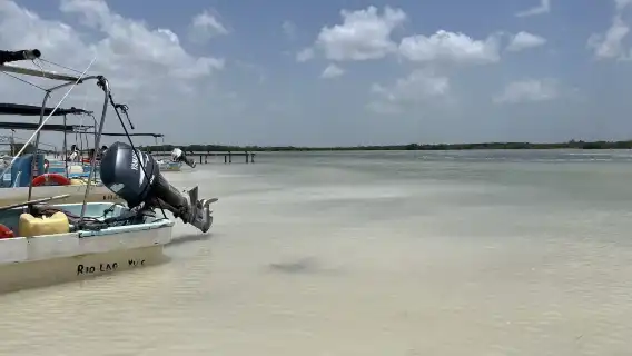 Las Coloradas full-day guided tour