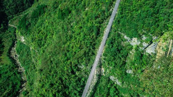 鹿院坪一日遊【純玩|諮詢立減|可選8人小團|3人獨立私家團