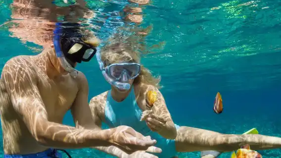 【峇里島包船輕奢14座快艇女神號】潘妮達島藍夢島一日遊