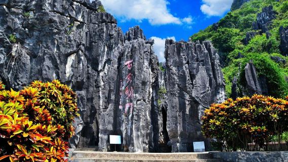 kawasan pemandangan Batu Kunming dan kawasan pemandangan Jiuxiang lawatan sehari| sewaan peribadi sewaan peribadi Pilihan