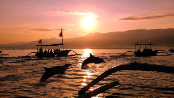 Nature & Wellness Bali Tour: Dolphins, Mount, and Hot Springs