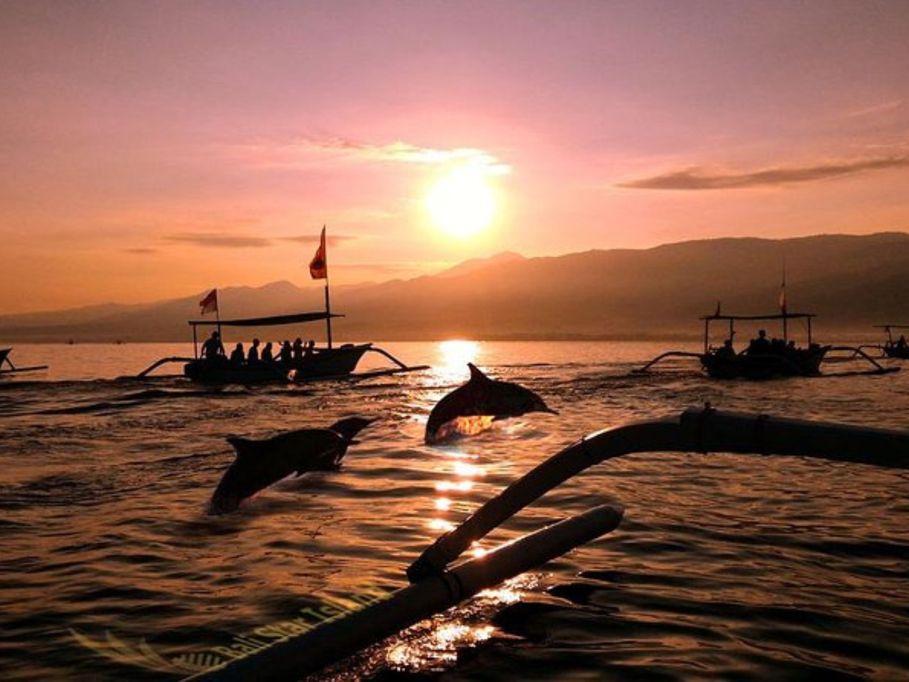 Nature & Wellness Bali Tour: Dolphins, Mount, and Hot Springs