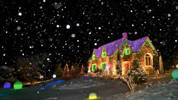 Winter Limited|Nami Island X Gangchon X Nighttime Five-Colored Star Garden Garden of Morning Calm