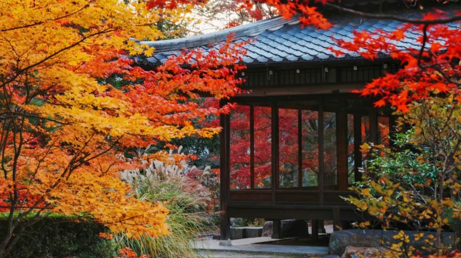 大阪+京都小團一日遊丨紅葉秘境巡禮琉璃光院·三千院·貴船神社