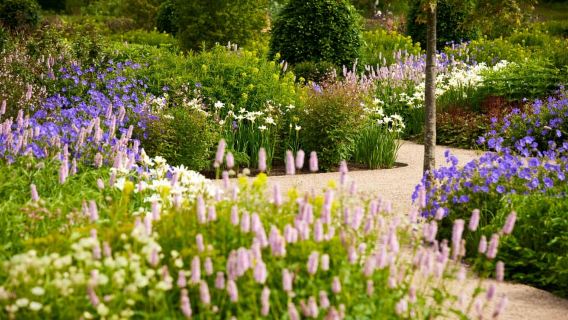 Bridgewater: biglietto per il giardino della Royal Horticultural Society